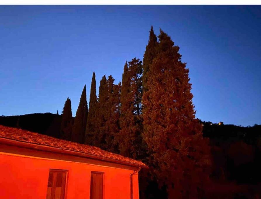 Uno Spazio Di Relax In Toscana Apartment Buti Luaran gambar